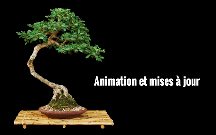 Animation et Mise à jour